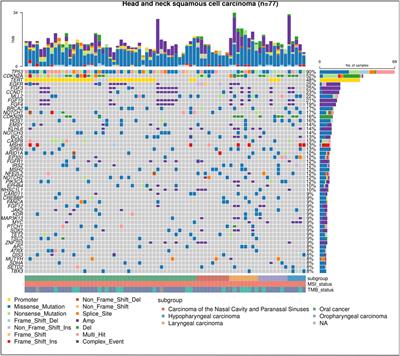 Next-generation sequencing identifies CDKN2A alterations as prognostic biomarkers in recurrent or metastatic head and neck squamous cell carcinoma predominantly receiving immune checkpoint inhibitors